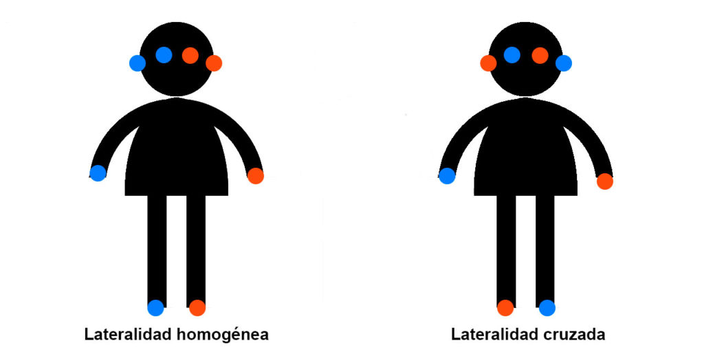 Lateralidad Cruzada