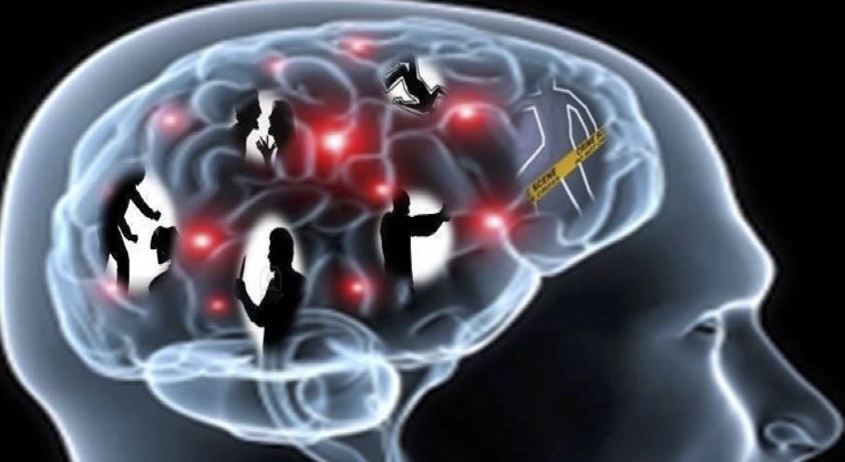Qué es la Neurocriminología