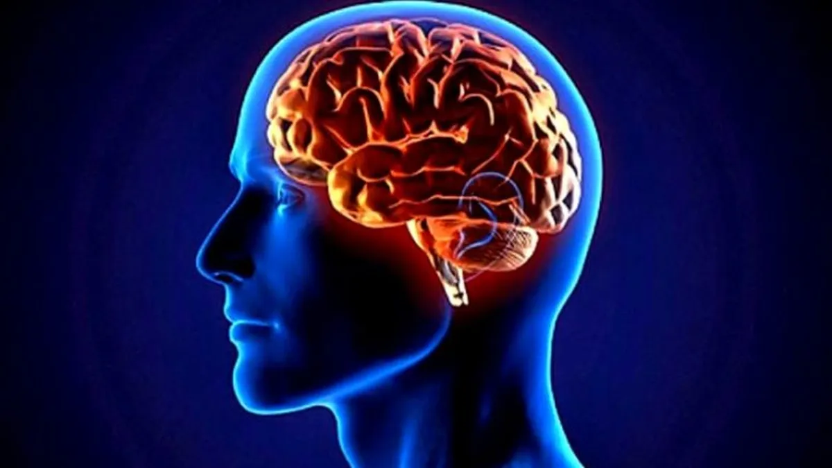 Qué es la Neurocriminología